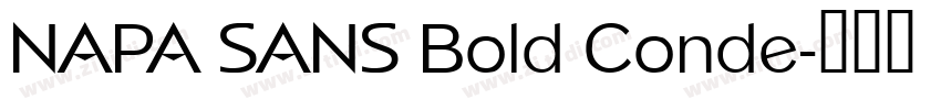 NAPA SANS Bold Conde字体转换